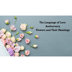 The Language of Love Anniversary Flowers and Their Meanings